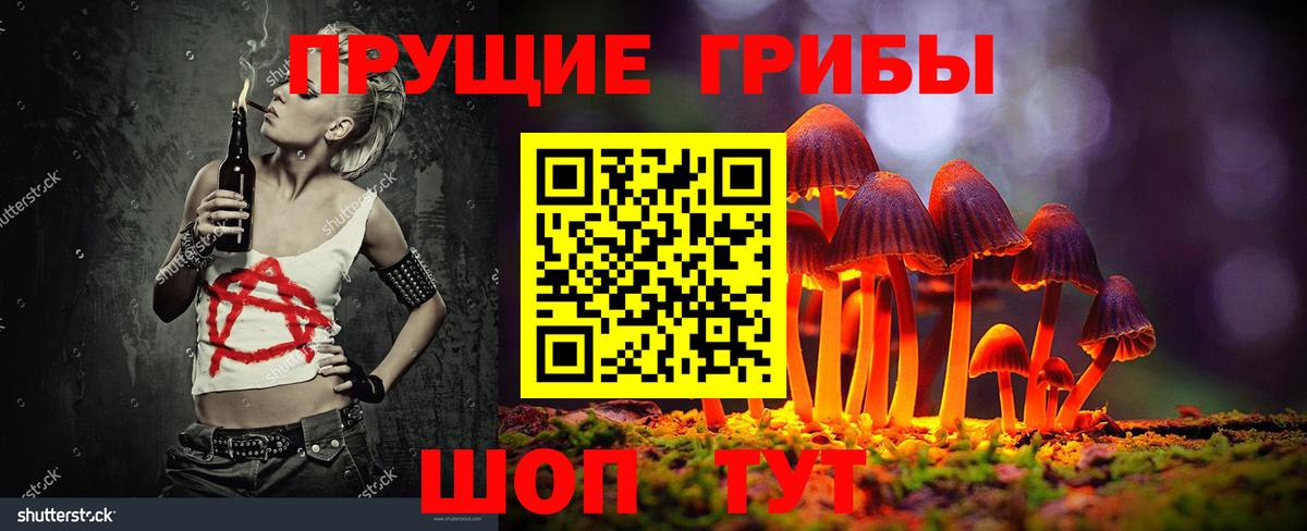 Ртищево  Псилоцибиновые грибы мицелий  где купить наркоту  Вход с VPN  Галлюциногенные грибы Psilocybine cubensis 