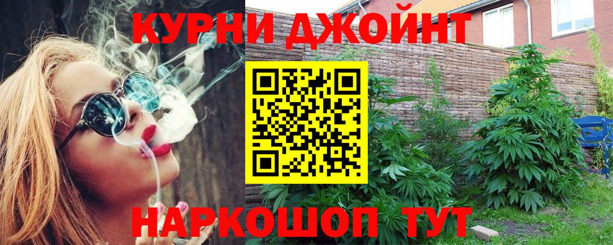 МАРИХУАНА сатива Ртищево